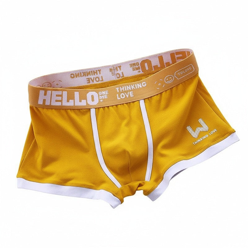 Men's Boxer Briefs with Graphic Waistband and Pouch Support